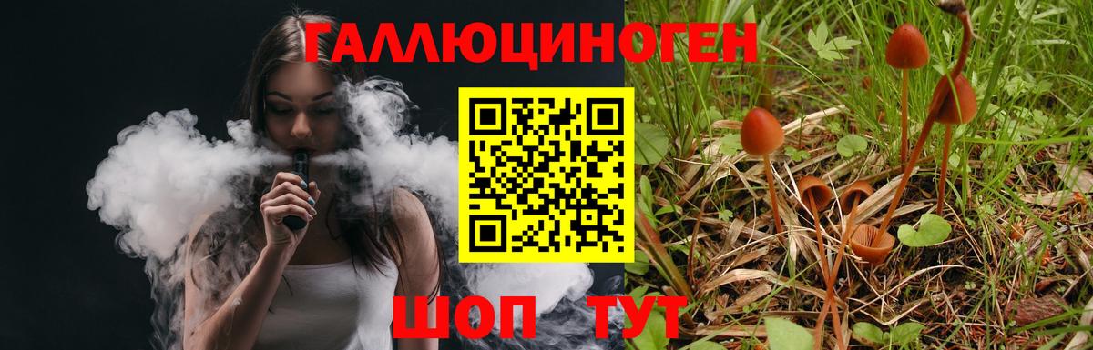 Псилоцибиновые грибы MAGIC MUSHROOMS Можга